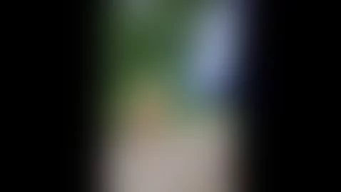 let's play by wondernadin