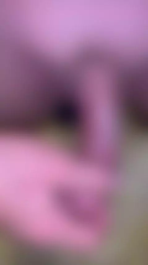 Video by striker1970