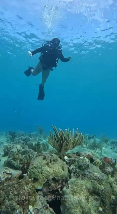 🌊 My diving 🤿 by natassha-grey