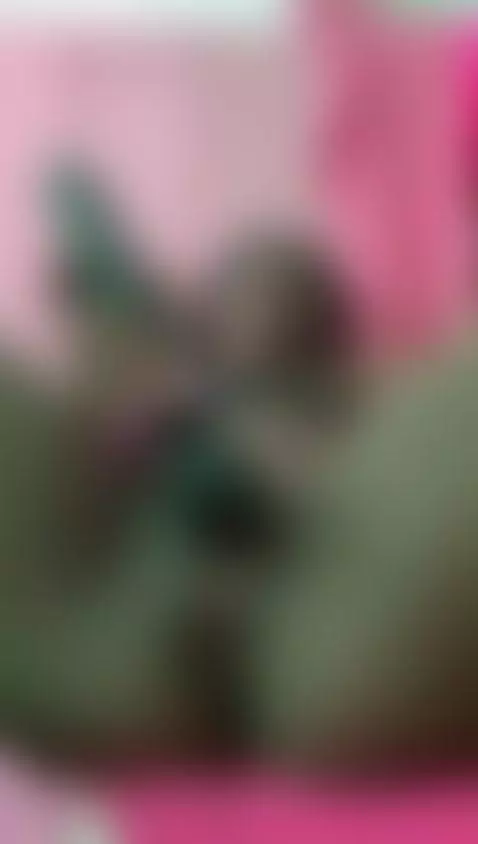 Do you want to lick my wet pussy ? by nainadeivis