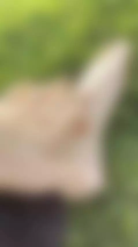 Grass + Barefoot = Heaven by sofly-s