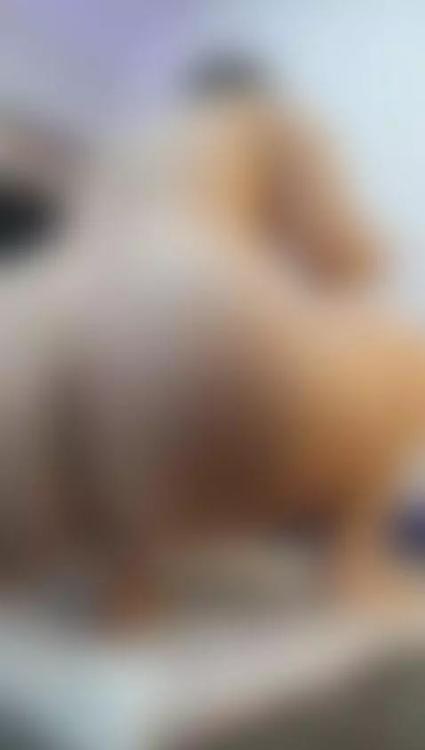 You behave… and I’ll reward you with this ass. Deal? 🤝🍑 by niky-smit