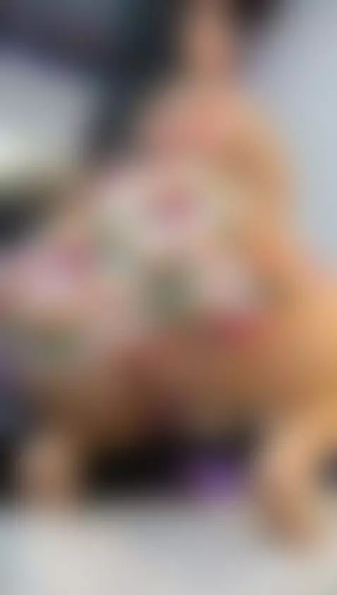 You don't know how much my ass would bounce for you...🤭 🍑 by niky-smit