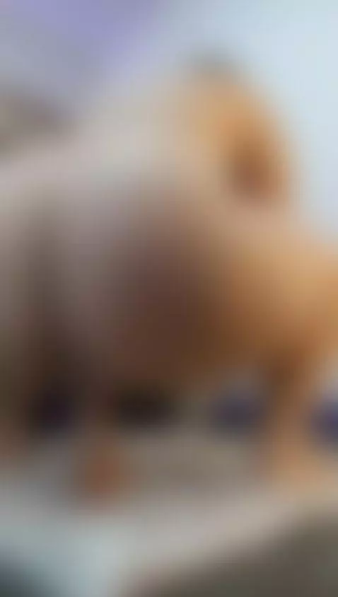 Swallow every inch… I’m waiting. 💦 by niky-smit