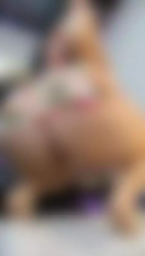 My ass is already in position and ready for you to tear it a... by niky-smit