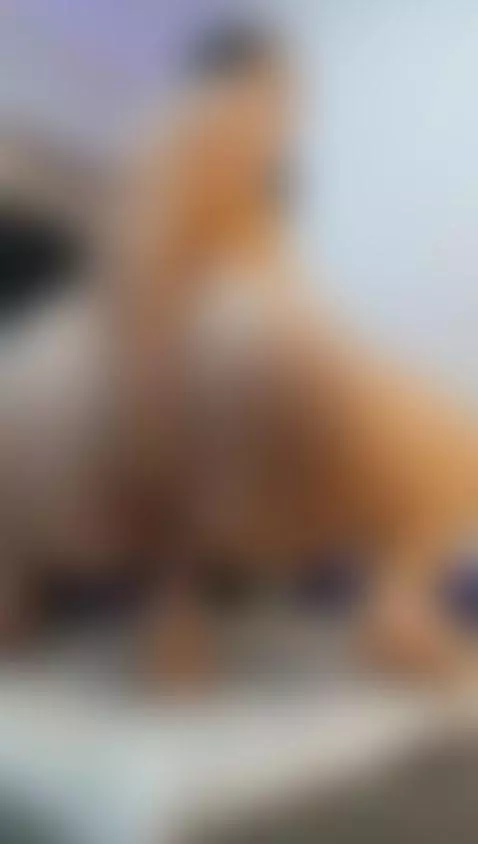 You don't know how much my ass would bounce for you...🤭 🍑 by niky-smit