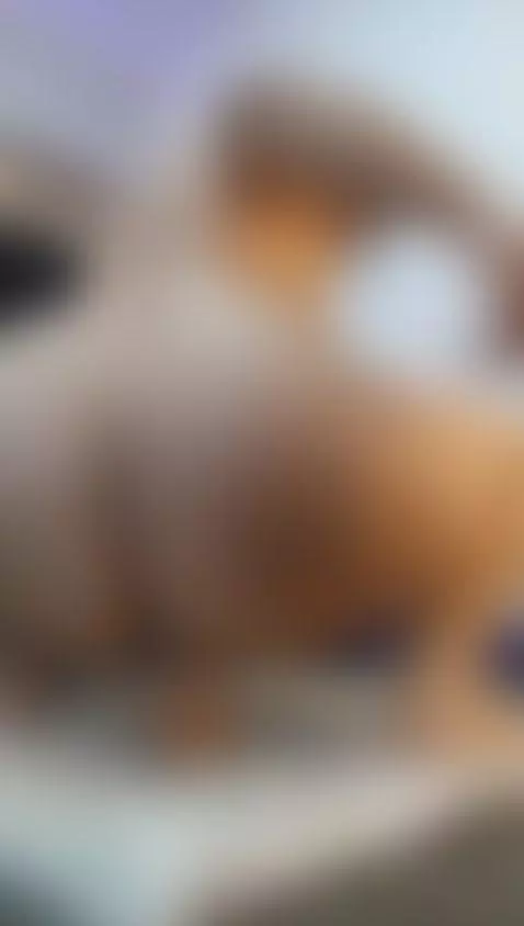 Swallow every inch… I’m waiting. 💦 by niky-smit