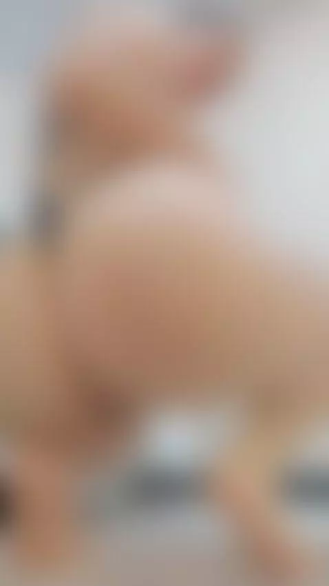 Imagine my tight ass clenching around you… making you lose c... by niky-smit