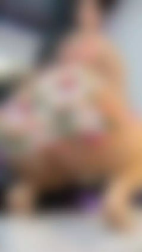 Your favorite fantasy is live now.🔥 by niky-smit