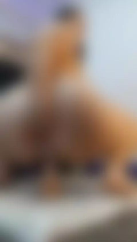 No limits tonight. Just pure desire.😈 by niky-smit