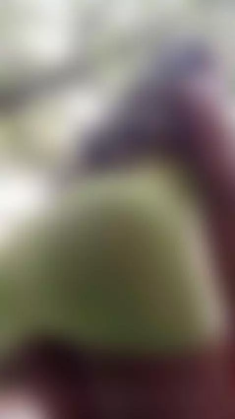 morning by briannachelsea