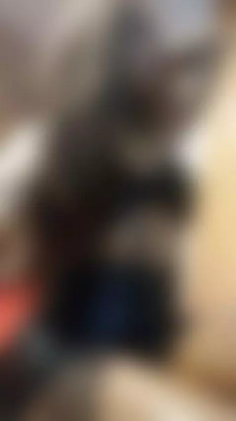 Happy Saturday my loves by briannachelsea