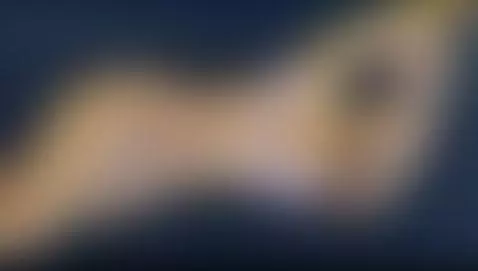 sexy, morado, lenceriatransparente by antonellakling