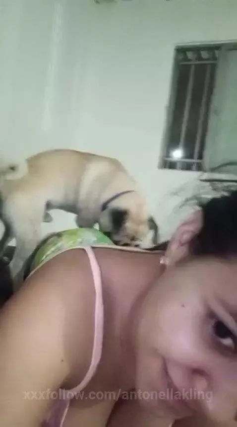 dog very hott by antonellakling