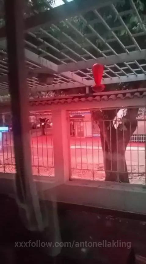 open the window and teach my tits to everyone by antonellakling