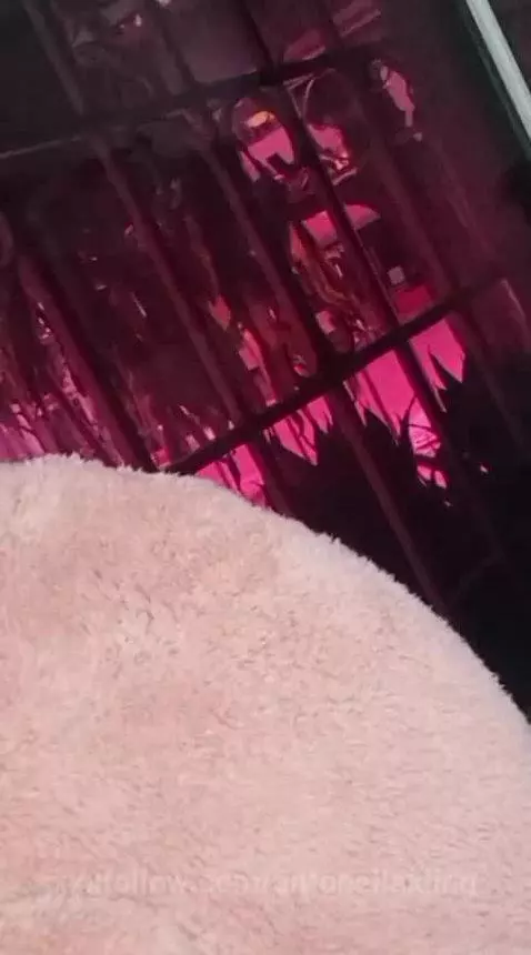 tits, bigboobs, bigtits by antonellakling