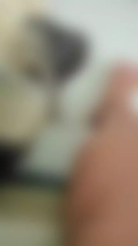 This puppy loves my feet by antonellakling