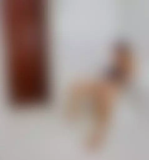 mi prima da una deliciosa mamada by antonellakling