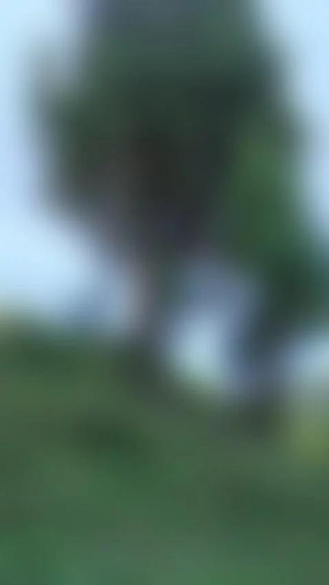 surprice 🌞🌞🍃🍃 by charlottee-lee