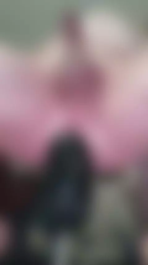 brutal anal by x2gearfun79a