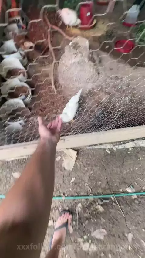 i make videos to improve my farm by 3nakiarangot