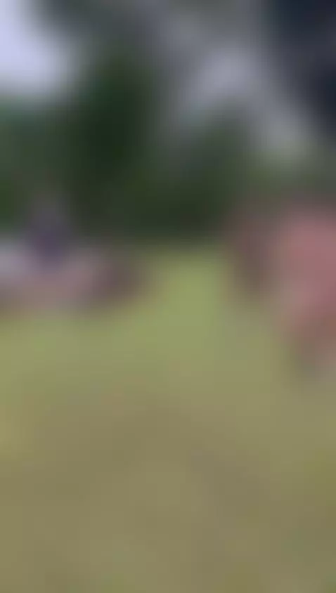 You want to come to pisicine with us, which delicious fuck i... by soofiiass