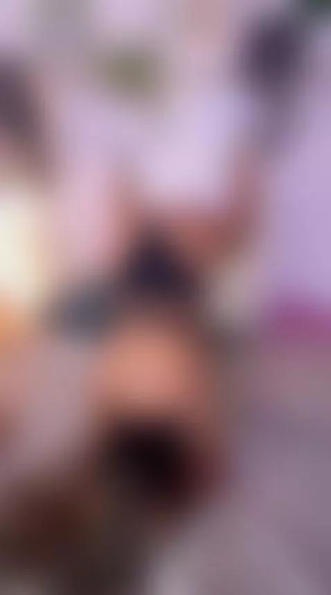 im shake my ass, crazy anne by anneee