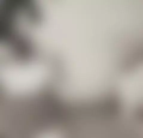 Today I am wet and wanting to play the whips by valneeko