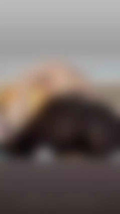 Let's wet my leggings 💦😈 by linoshka-1