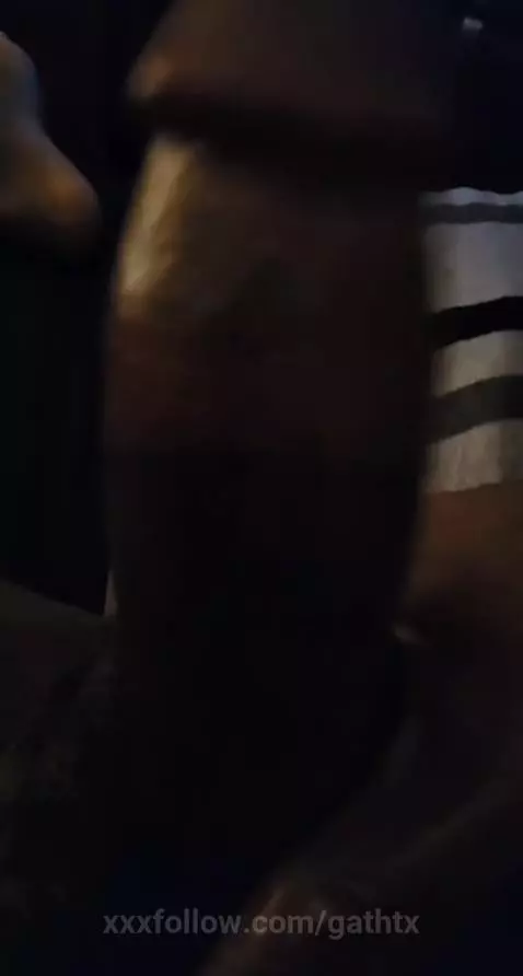 Morning Wood by gathtx