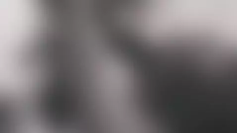 were is my cat's by patricktwinsk