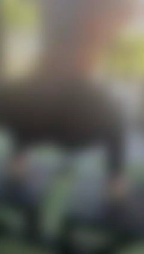 camsodaonline, workout, bigass by lenathompson