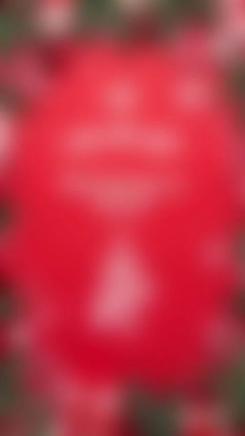 Merry Christmas, thanks for your support!🫶🥺🥰 by lucy-vega