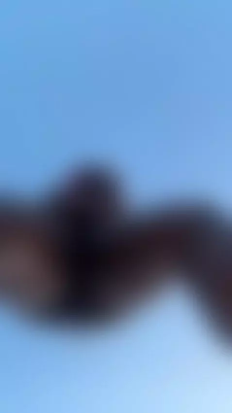 check out the worms view by tnpq1000