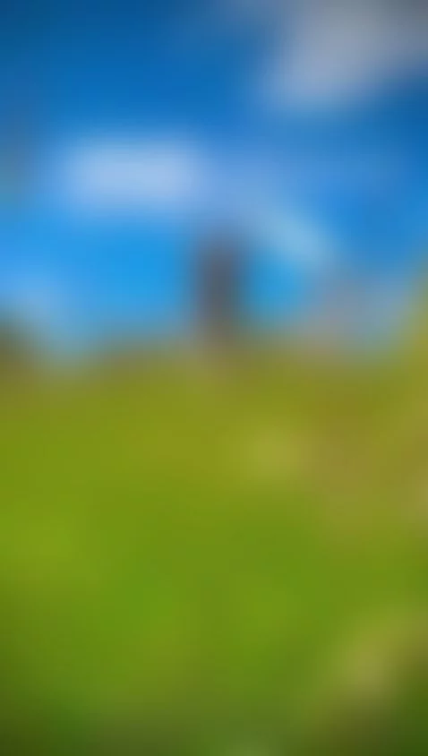 walk in the field by ashly-roberts