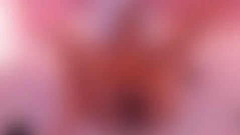 Did u miss my little toy? 🌈 by luciabustamante