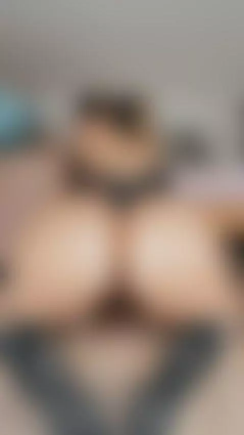 Ride in reverse by fermercury