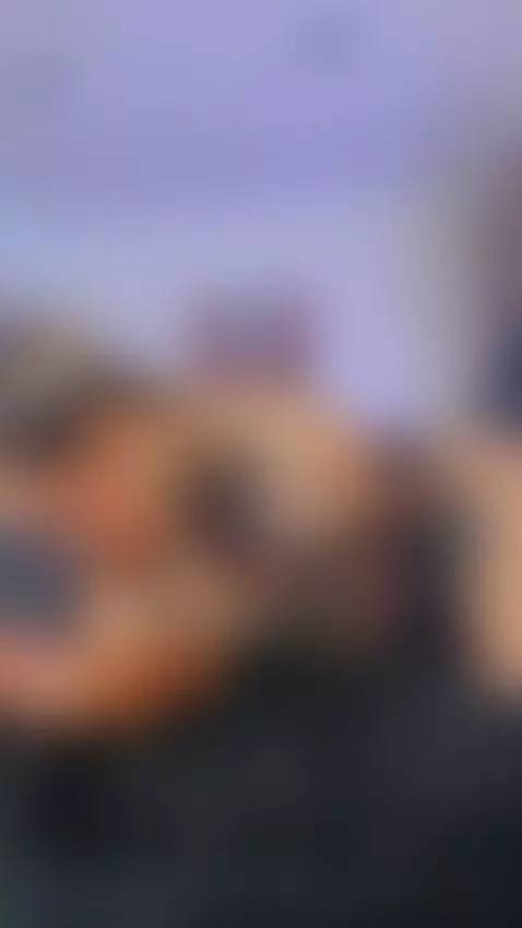 Sloopy blowjob by fermercury