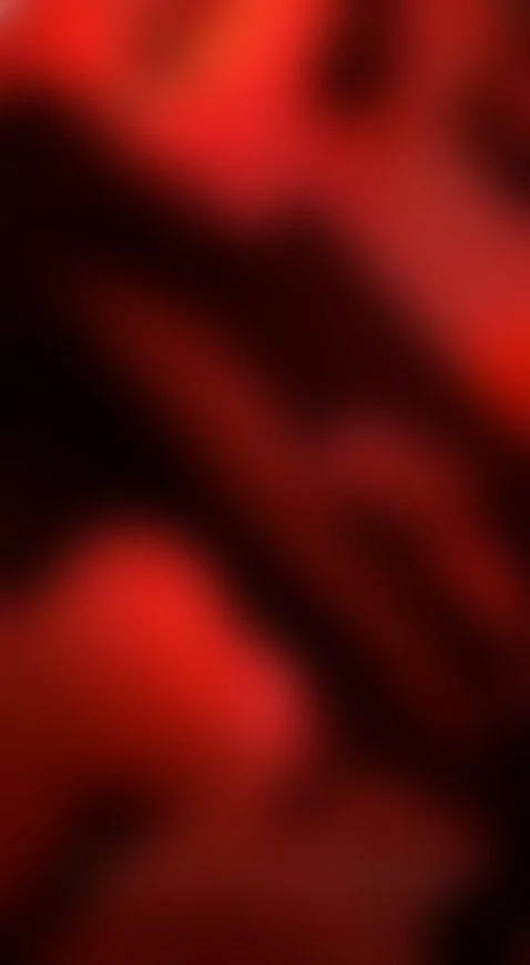 Red pasion by tammyandrade