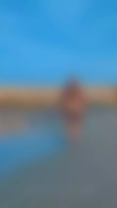 fly high like birds by xcarllet69