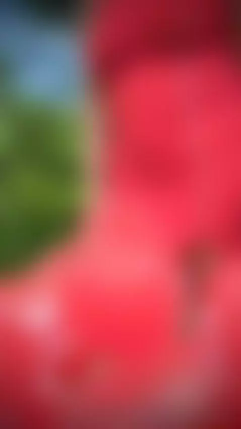 Happy Valentin My Heart by xcarllet69