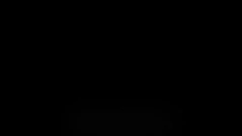 - O N L I N E - by danna-riivera