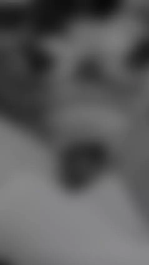 Uncover your gift by sophia-lennox