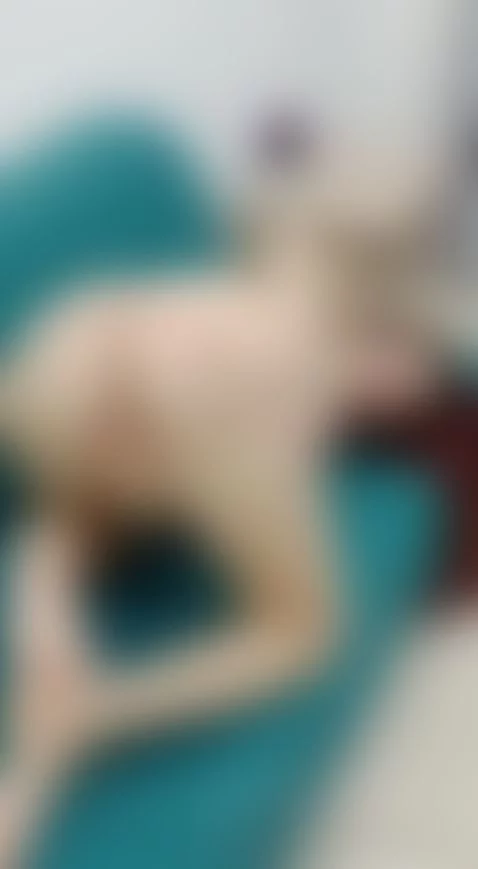 I WANT YOUR COCK IN MY PUSSY by arianaforst