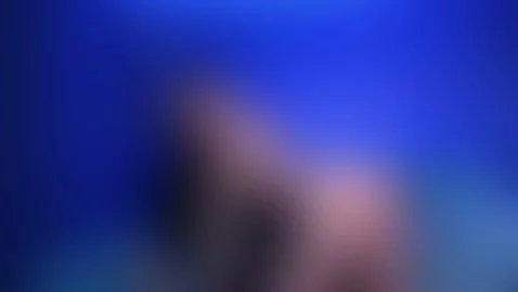 happy saturday! by samcarson