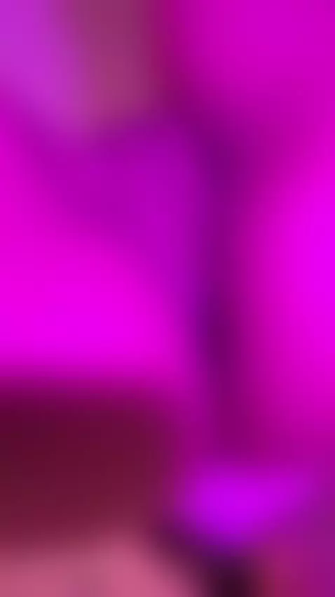 In your face how do you like by emyliesander