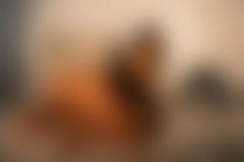 i'm so fucking hot today! by ninatejeiro