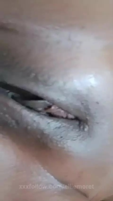 latina, tits, pussy by elliemoret