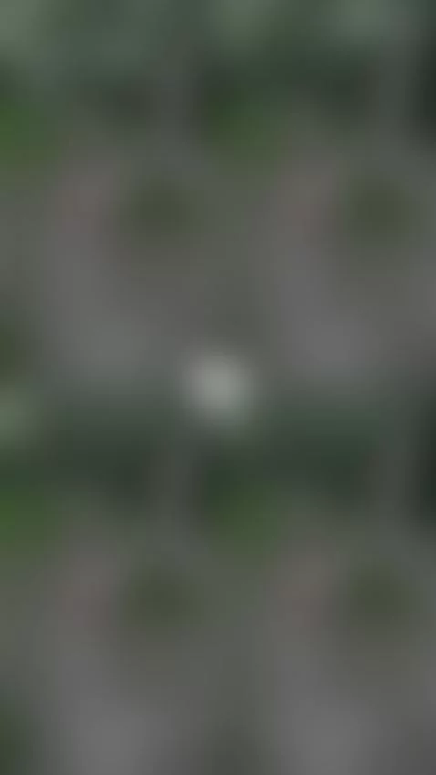 Video by lindsey-mae