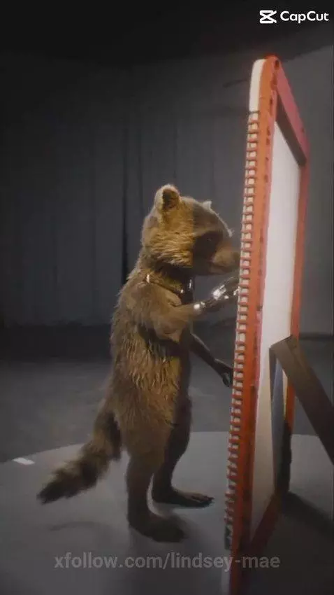 Video by lindsey-mae